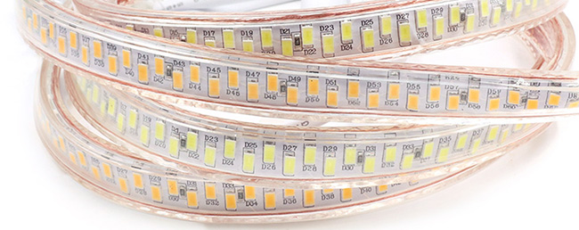 AC110/220V LED Strip Lights